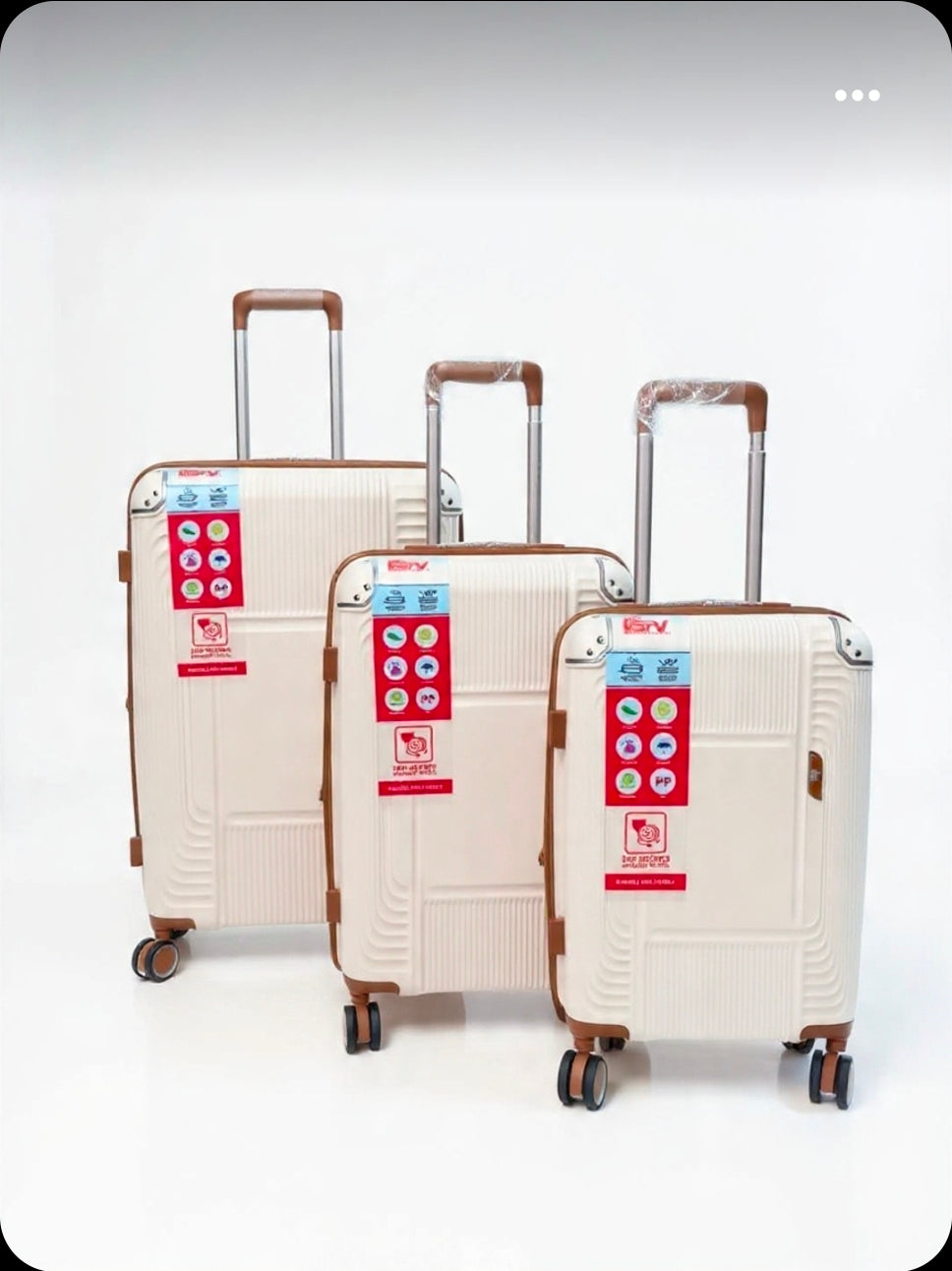 Ensemble de 3 Valises à Roulettes Multidirectionnelles